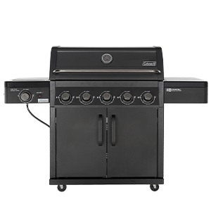 Pro Series Barbecue with 5 Burners
